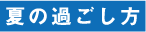 ホーム