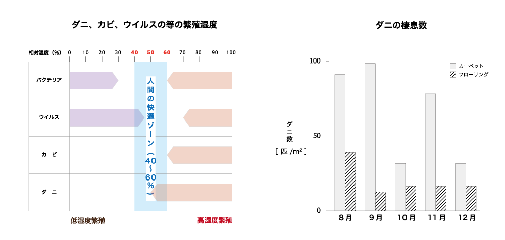 ホーム