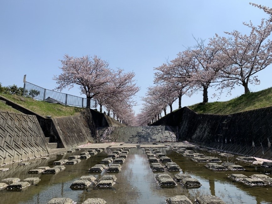 稲美町で注文住宅・工務店をお探しの方へ、稲美町の平均気温と降水量
