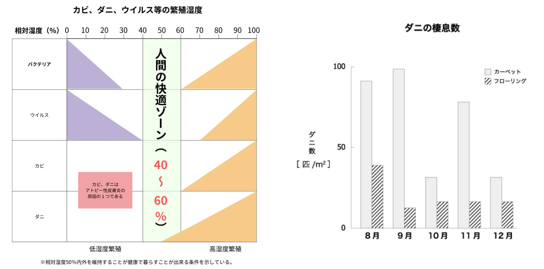 100点満点のお家