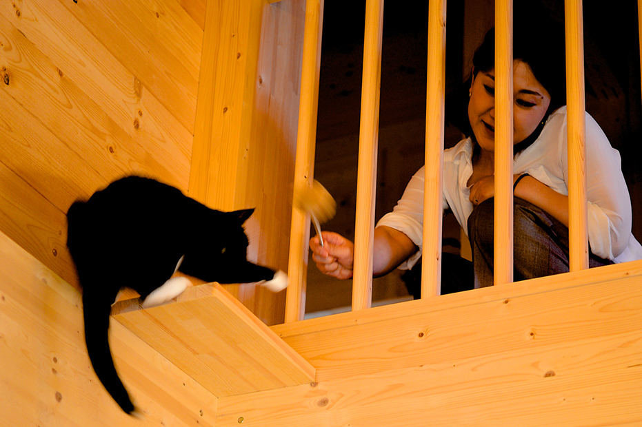 リビングには猫のための猫台（キャットウォーク）を設置し、空間をともにしながらも、人間と猫の両方が快適に過ごせるように工夫